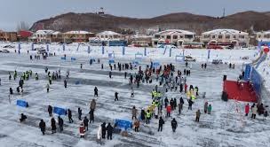 神经科学：解析“风险奖励回路”在青少年大脑中的未成熟性。（从神经科学看青少年大脑的风险-奖励回路尚未成熟）